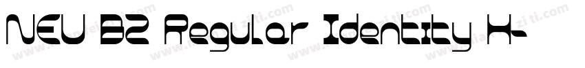 NEU BZ Regular Identity H字体转换